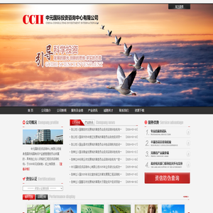 中元国际投资咨询中心有限公司