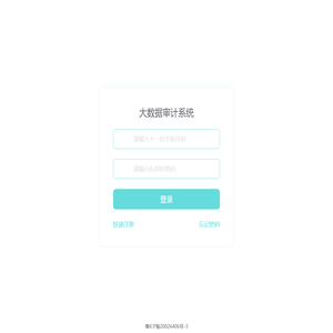 大数据审计系统