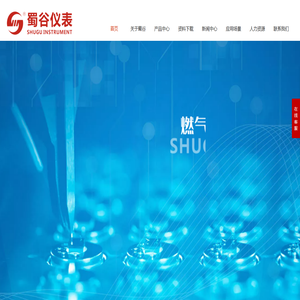 四川蜀谷仪表科技有限公司