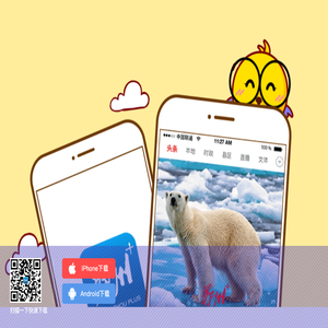 郑州晚报