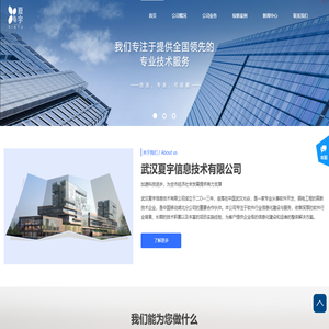 武汉夏宇信息技术有限公司