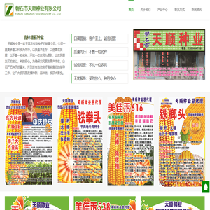 磐石玉米种子