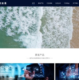 北京盛世政通官网