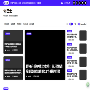91巴士