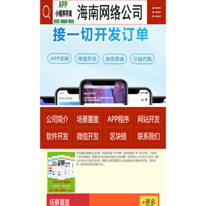 海南网络公司