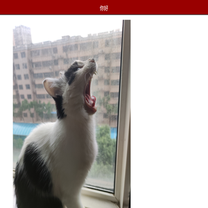中文