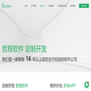 杭州软件开发公司