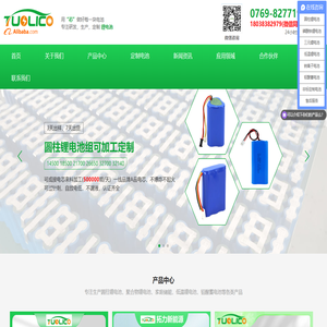 东莞市拓力新能源科技有限公司