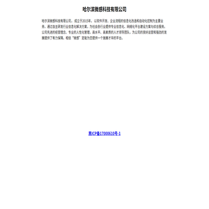 哈尔滨微感科技有限公司