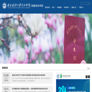 正在进行浏览器环境检查