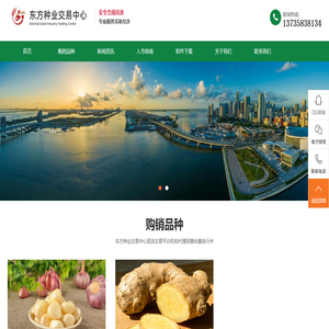 东方种业