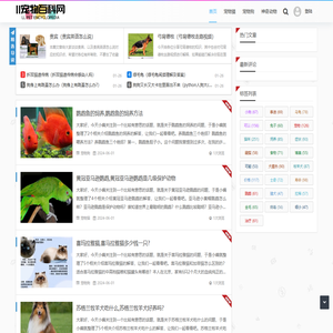 ll宠物网