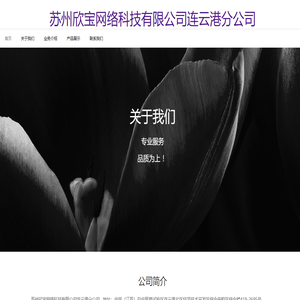 苏州欣宝网络科技有限公司连云港分公司