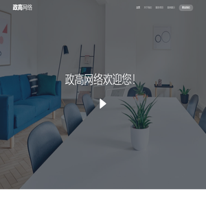 政高网络技术