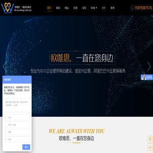 东莞市欧唯思网络科技有限公司