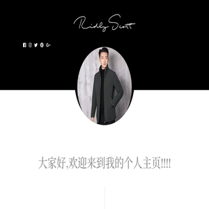 个人工作经历记录