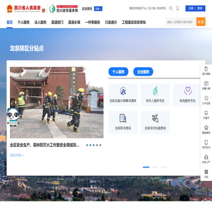 龙泉驿区政务服务网