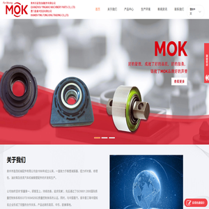 mokys
