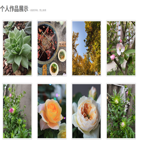 我的技术分享小站