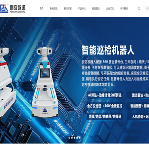 天津鹏安数迅科技有限公司