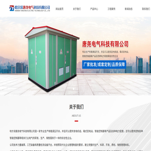 哈尔滨唐尧电气科技有限公司