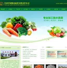 新盛在线客服电话