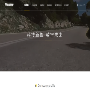 锋巢集团