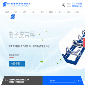 四川包装秤安装