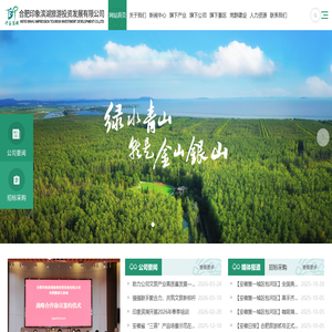 合肥印象滨湖旅游投资发展有限公司