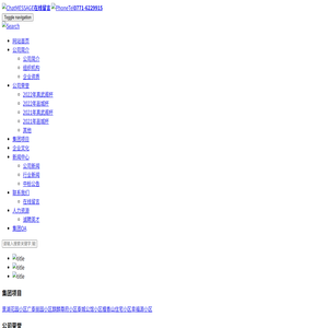 广西大兴建设集团有限公司