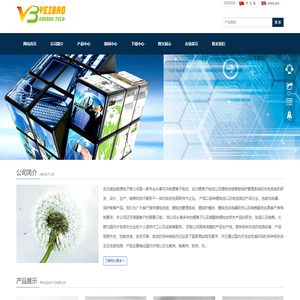威宝能源技术有限公司