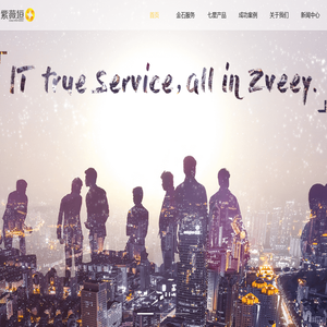 湖南紫薇垣信息系统有限公司