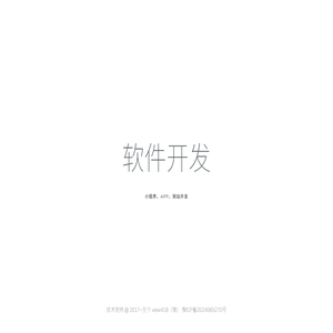 软件开发
