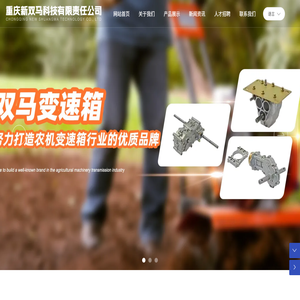 重庆新双马科技有限责任公司