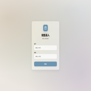 销售录入