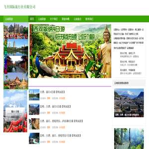 飞升国际旅行社有限公司