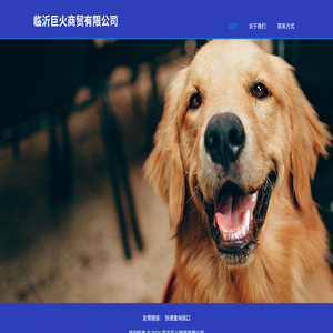 临沂巨火商贸有限公司