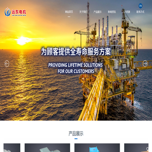 江苏远东电机制造有限公司