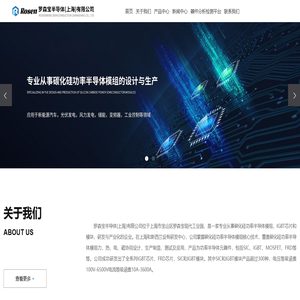 罗森宝半导体(上海)有限公司