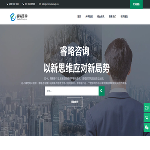 湖南睿略信息咨询