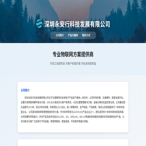 深圳永安行科技发展有限公司