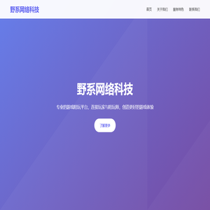 野系网络科技