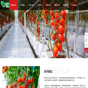 栽培种植槽