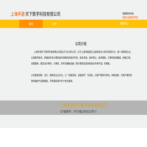 上海手游天下数字科技有限公司