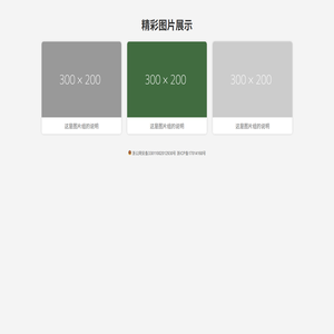 图片展示
