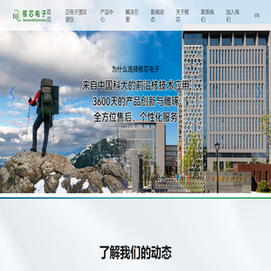 安徽核芯电子科技有限公司