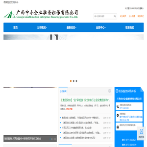 广西中小企业融资担保有限公司