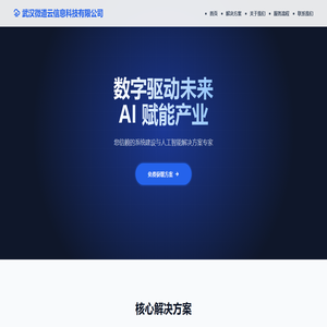 武汉系统建设