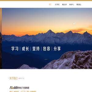 阿拉丁控股集团有限公司