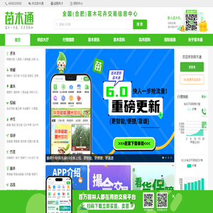 苗木通